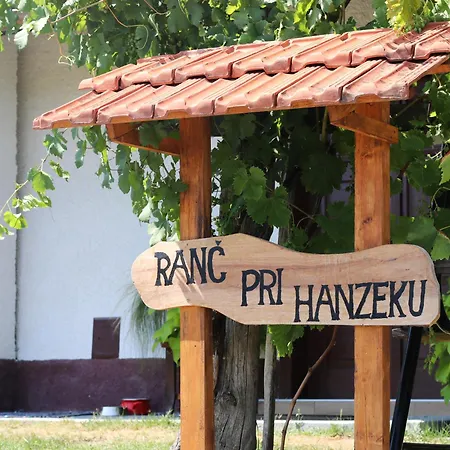 Vineyard Ranc Pri Hanzeku