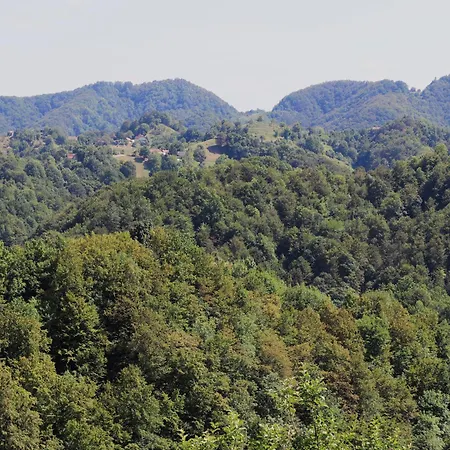 Vineyard Ranc Pri Hanzeku Zgornji Leskovec