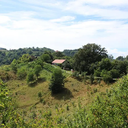 Vineyard Ranc Pri Hanzeku