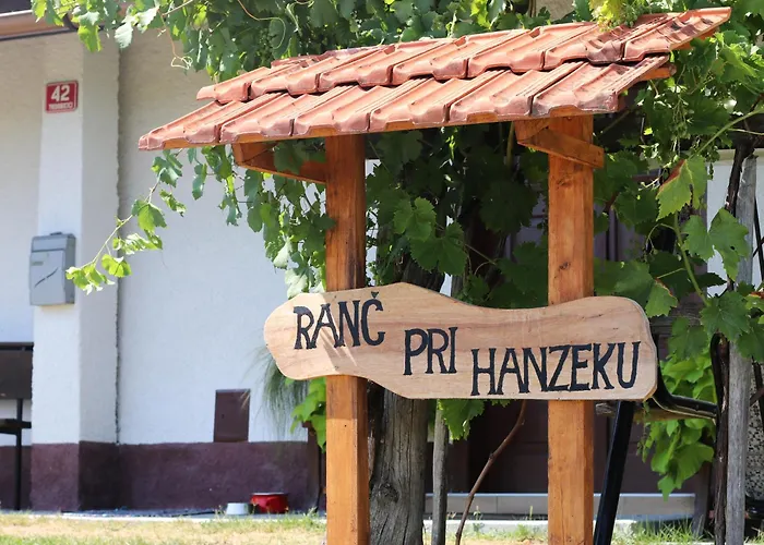 Vineyard Ranc Pri Hanzeku