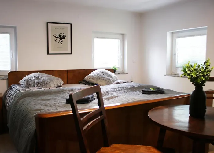 Vineyard Ranc Pri Hanzeku *