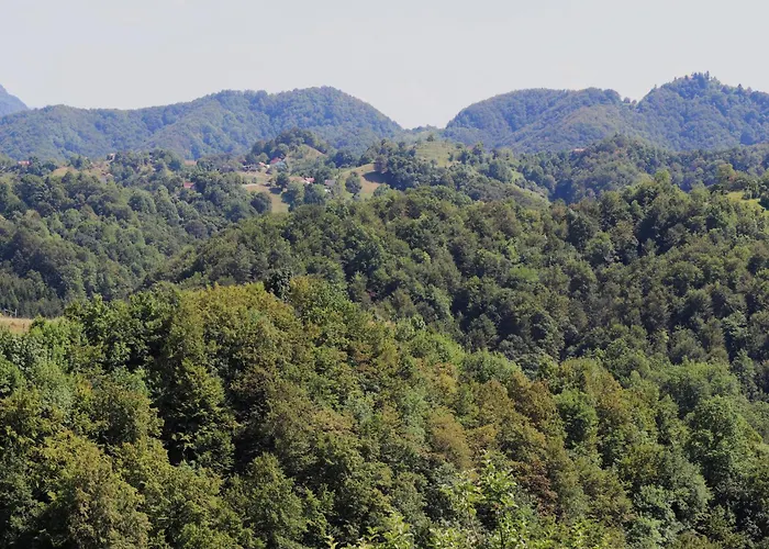 Vineyard Ranc Pri Hanzeku Zgornji Leskovec