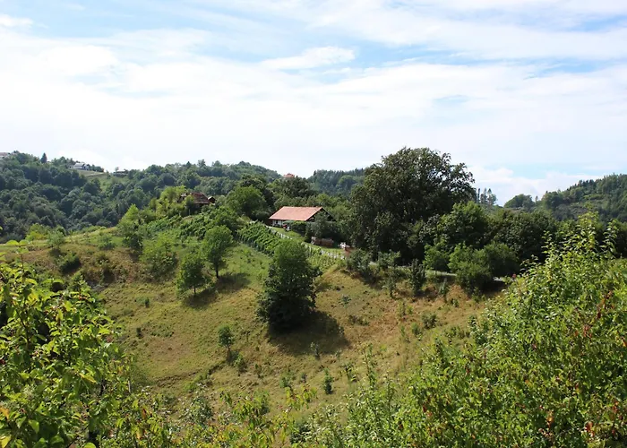 Vineyard Ranc Pri Hanzeku